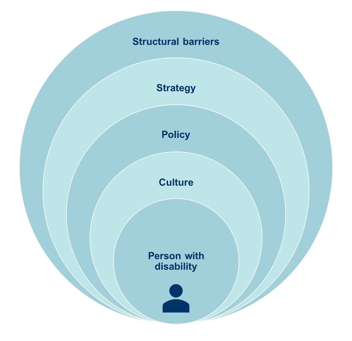This framework is a series of concentric circles with the person with disability central. A good disability inclusion framework should address key areas within the organisation to improve inclusion - strategy, policy, structural barriers and culture.