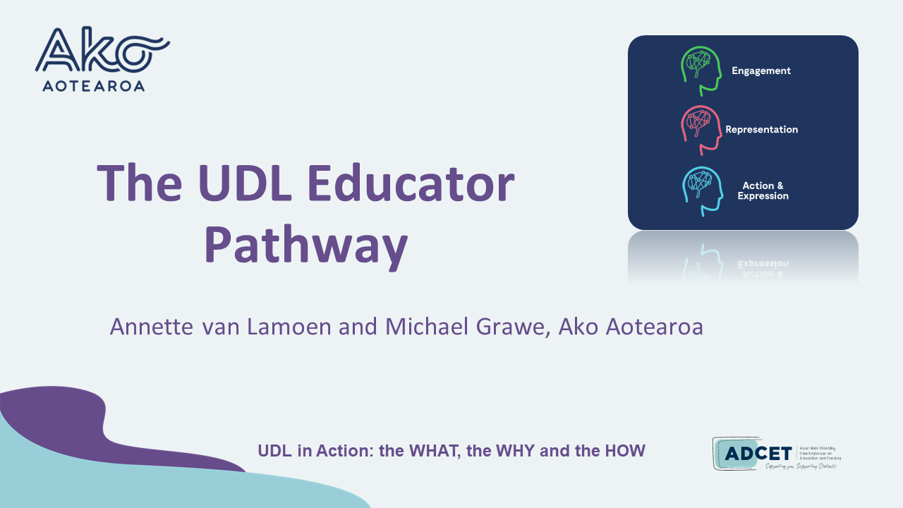 2B. The UDL Educator Pathway
