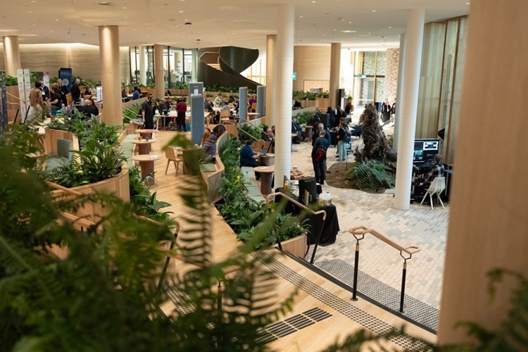 Image of The Forest reception area