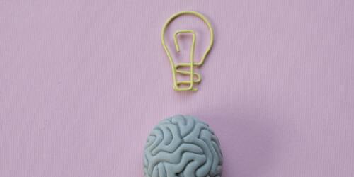 Navigating University Systems