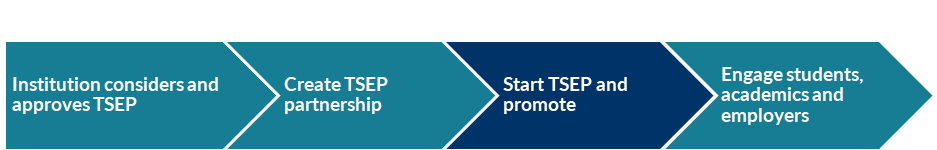 TSEP process: Third of four steps - Start TSEP and promote