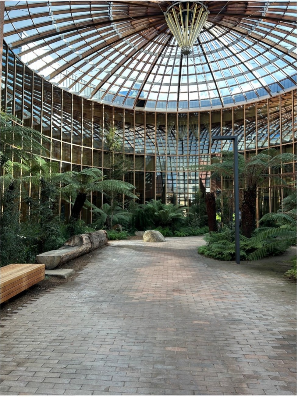 A large glass dome with a paved surface and forest plants on the right and left-hand sides. A wooden bench is on the left-hand side. 
